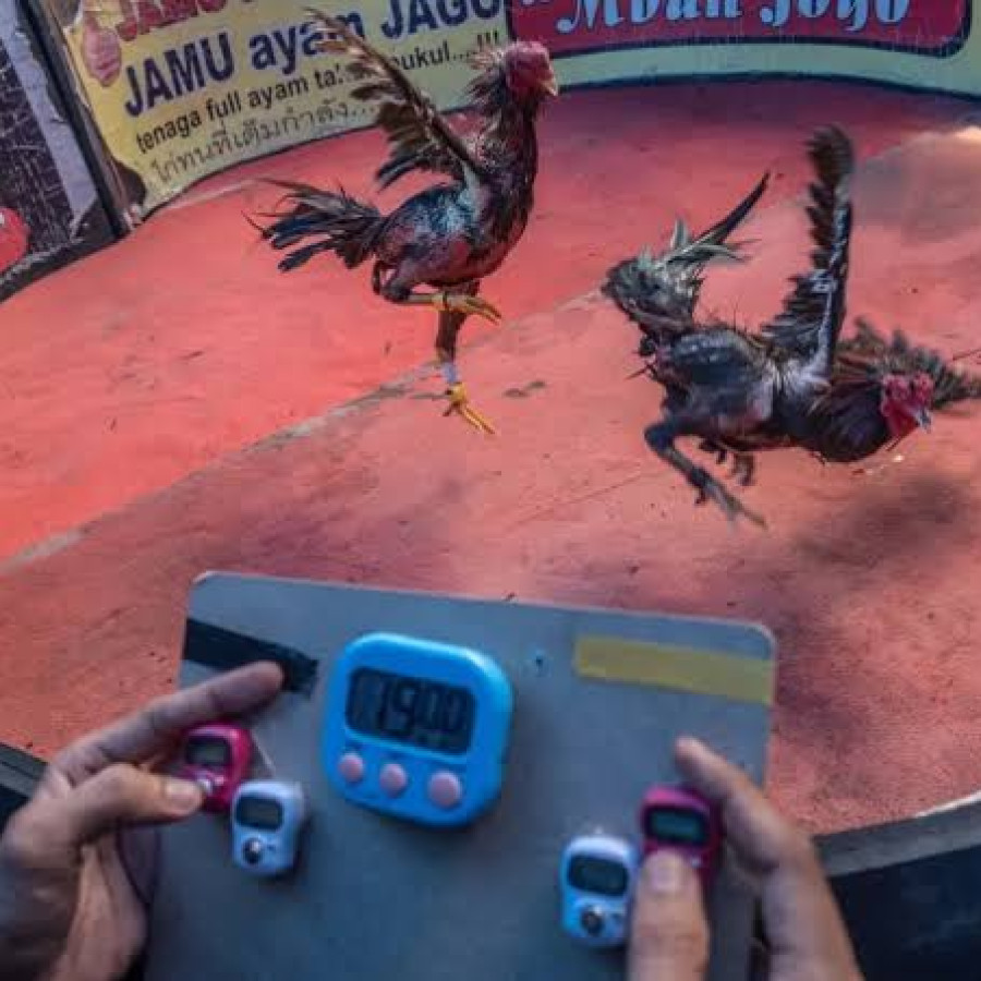 JASA PENYELENGGARA ACARA - depan