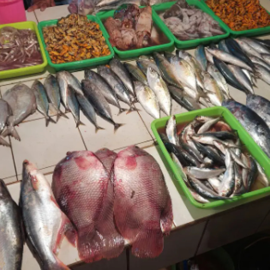 Ikan Segar Per Ekor