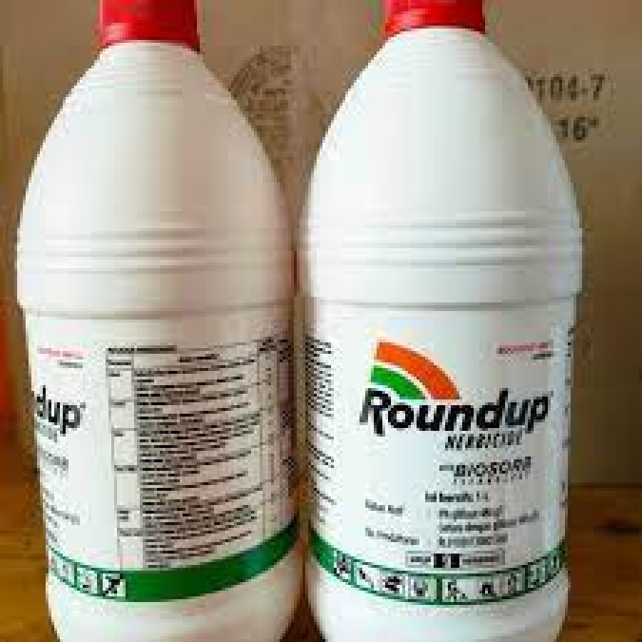 ROUNDUP PEMBASMI RUMPUT