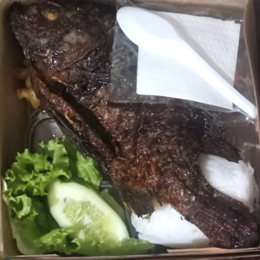 Nasi Kotak