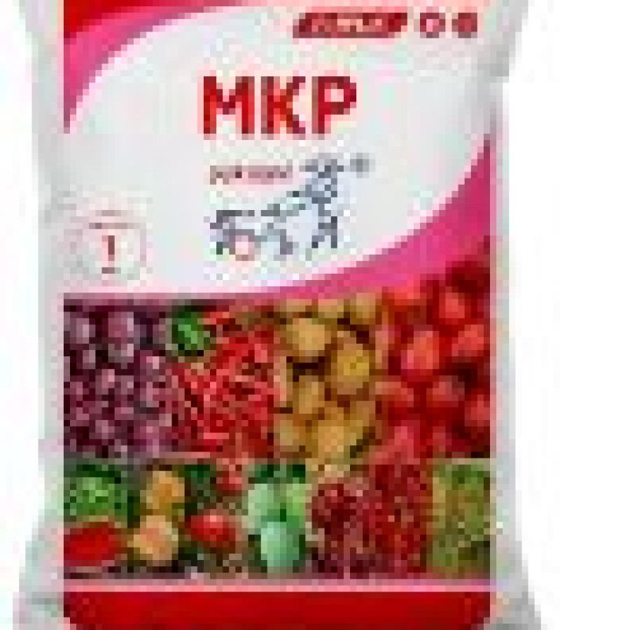 Pupuk MKP Pak Tani