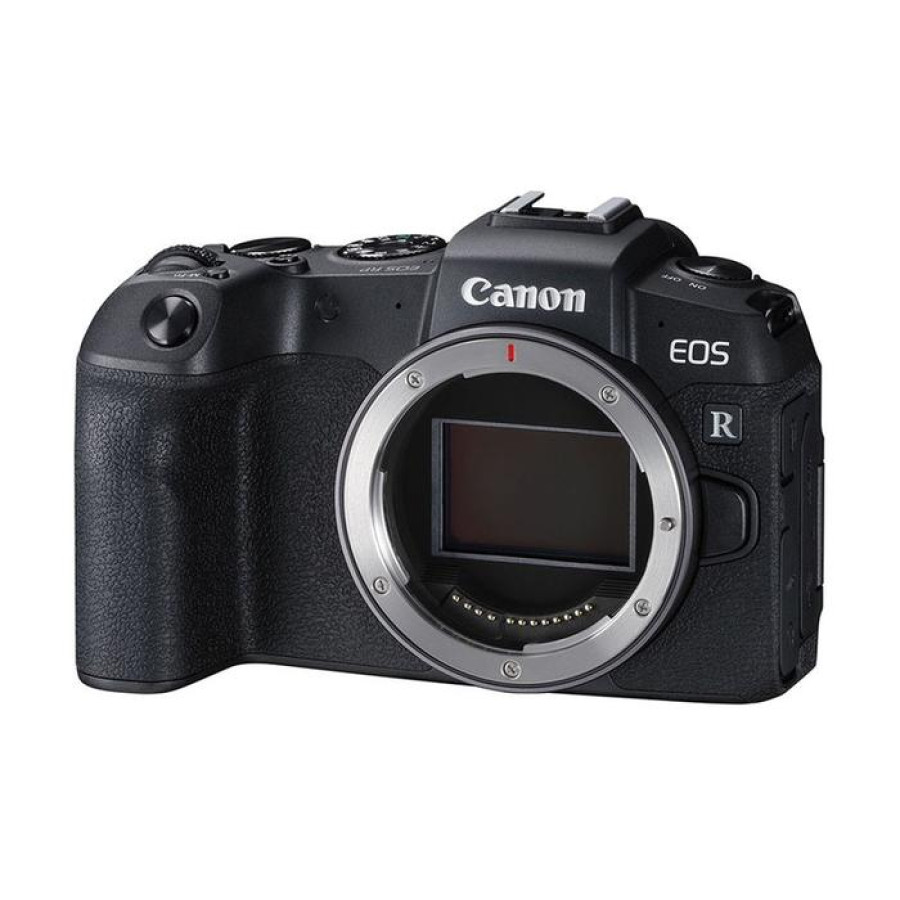 CANON EOS Mirrorless  RP (RF24-105mm f/4-7.1STM) - samping