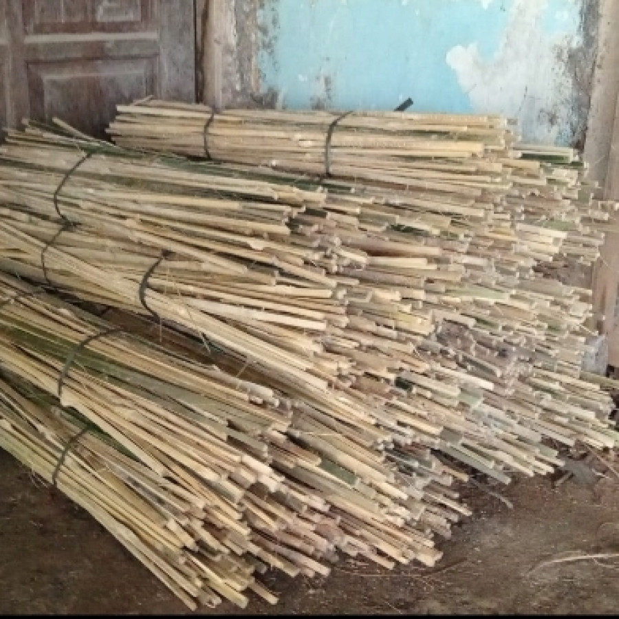 bambu ajir 1