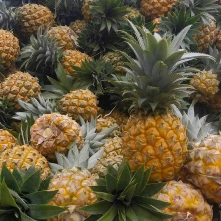 Buah Nanas Segar - depan
