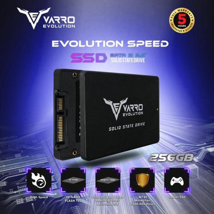 SSD 256 Gigabyte - utama