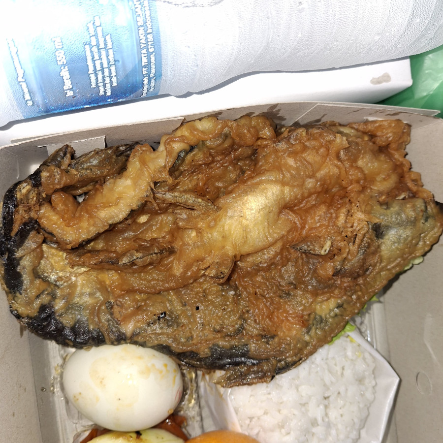 Lalapan Ikan Patin