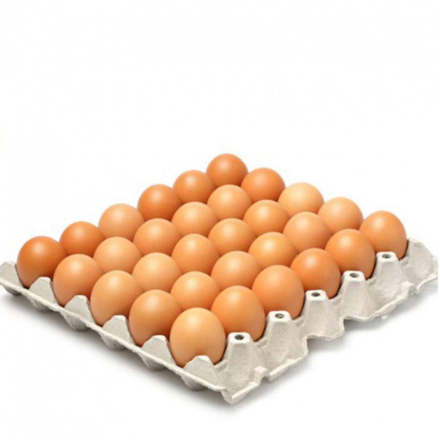 Telur Ayam