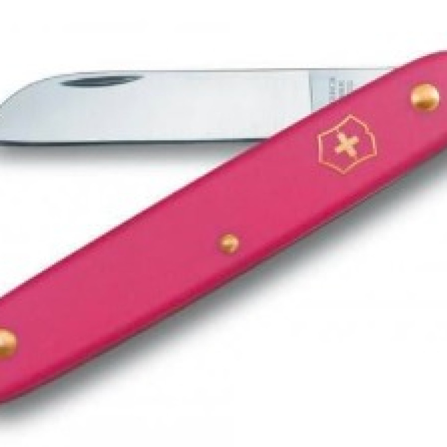 Pisau Okulasi - utama