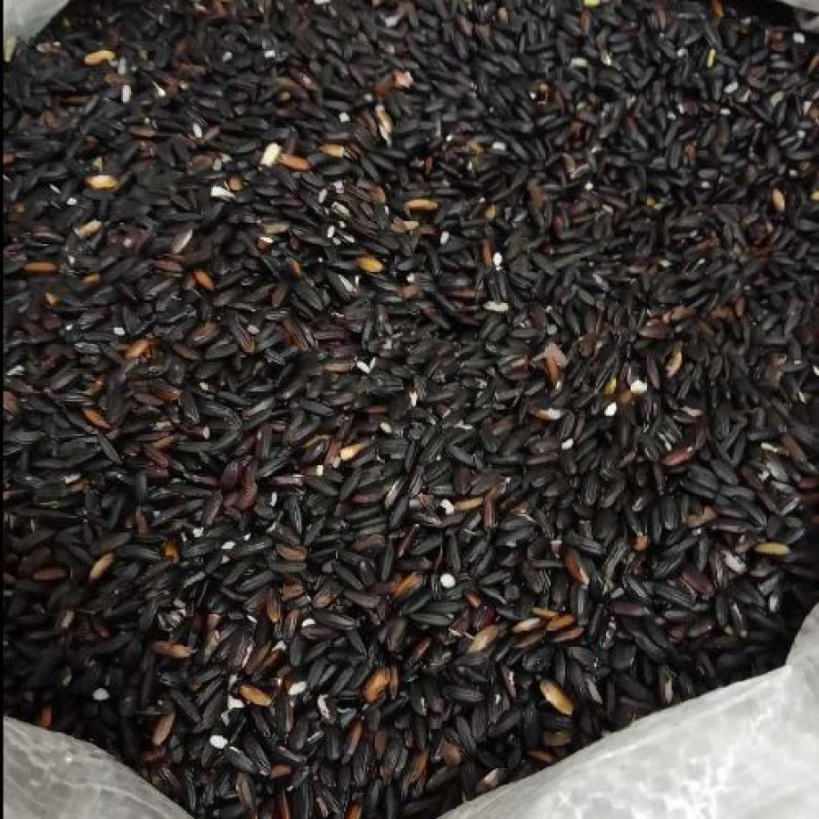Beras Ketan Hitam 1 Kg