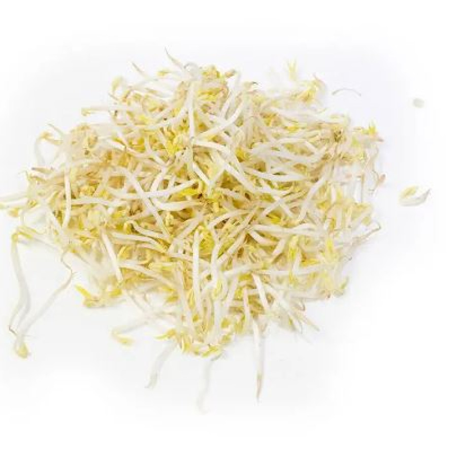 Tauge Panjang 1 Kg