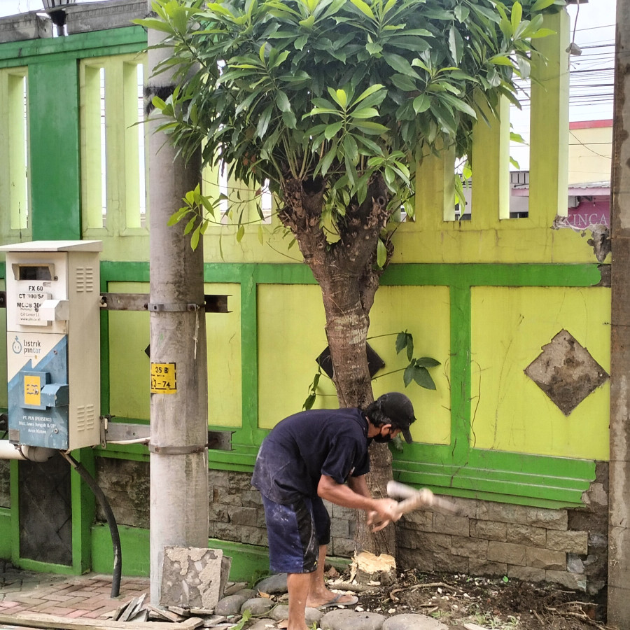 Pek. Penebangan Pohon per bh