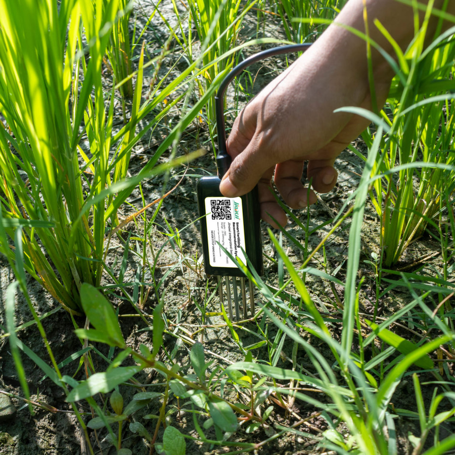 Jinawi Sensor Pemupukan Presisi Basic - detail