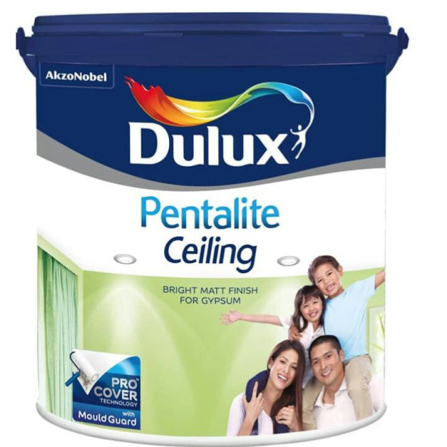 CAT TEMBOK DULUX