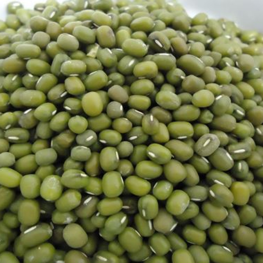 KACANG HIJAU