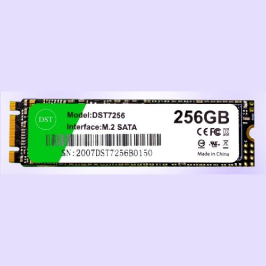 SSD DST 256GB M.2 SATA