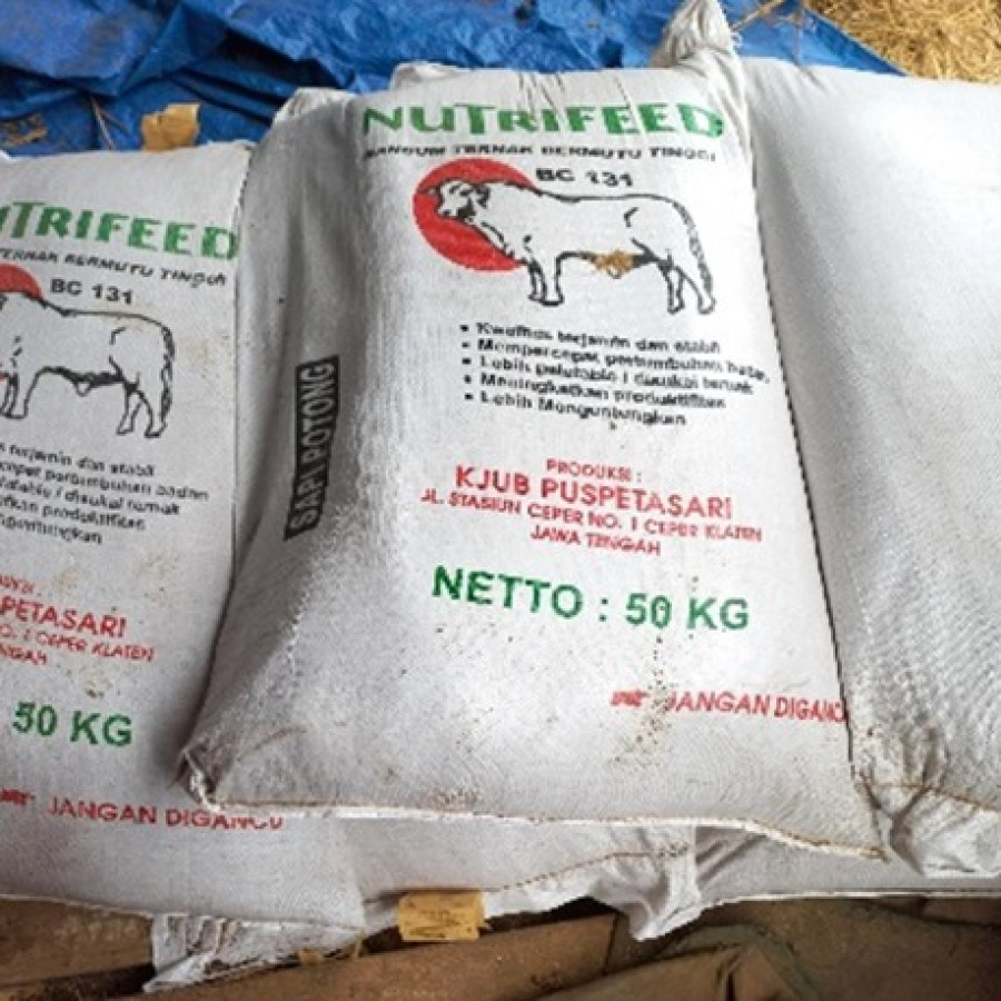 Pakan Sapi Nutrifeed