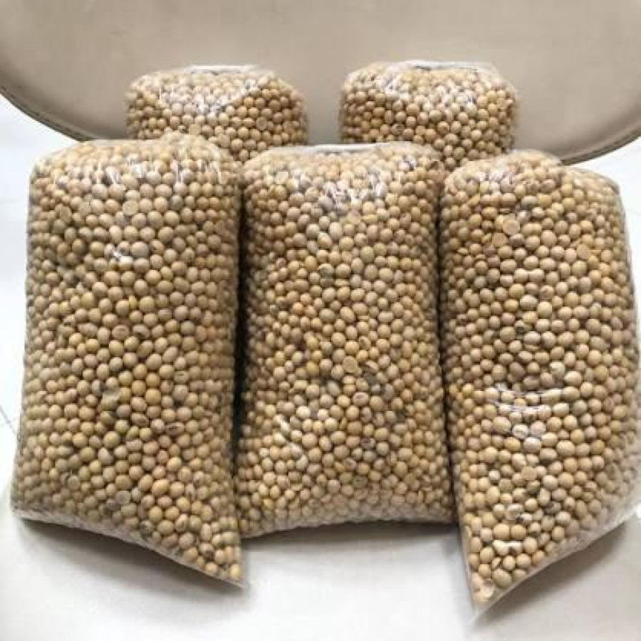 Kacang Kedelai 1 Kg