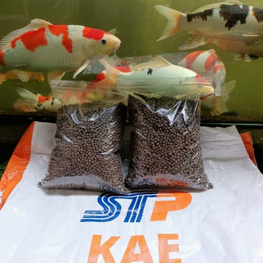 STP Kae Makanan Ikan Kemasan 1Kg