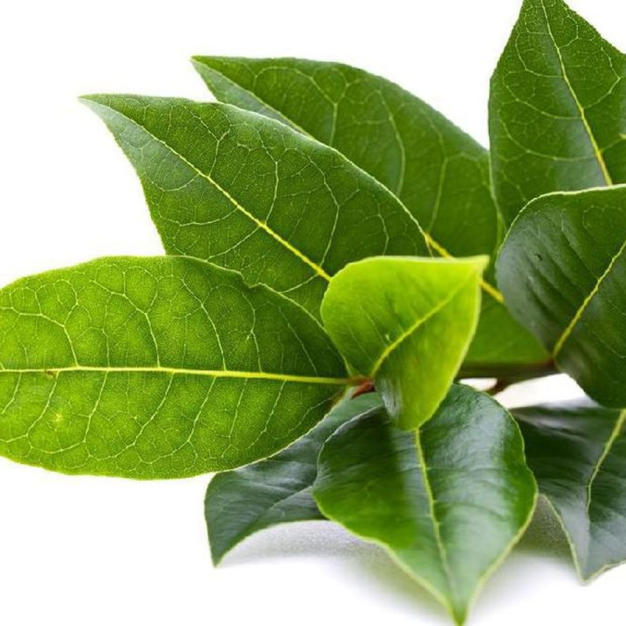 Bayleaf 100 gram - utama