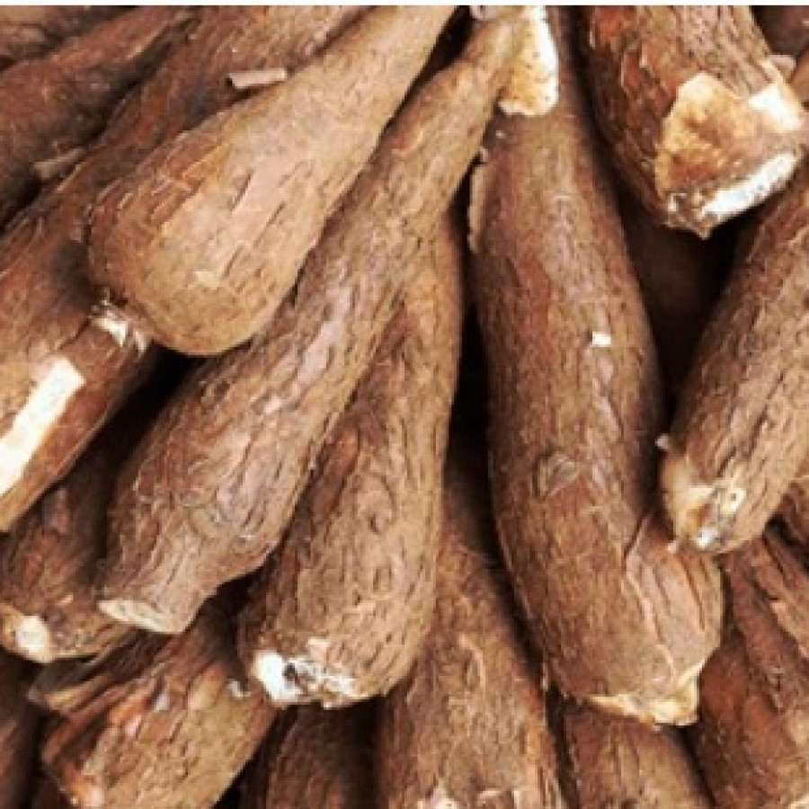 Ketela (Singkong)