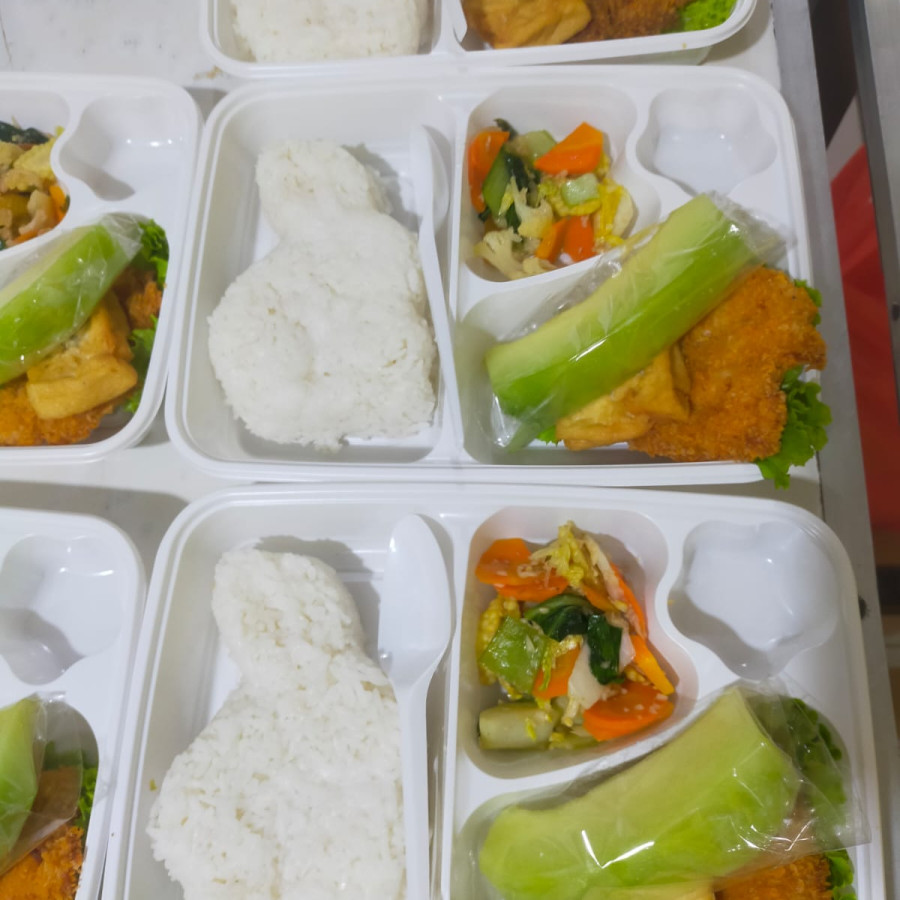 Paket nasi kotak untuk bumil (paket 1)