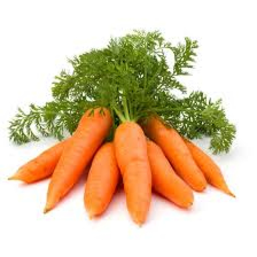 Sayur Wortel