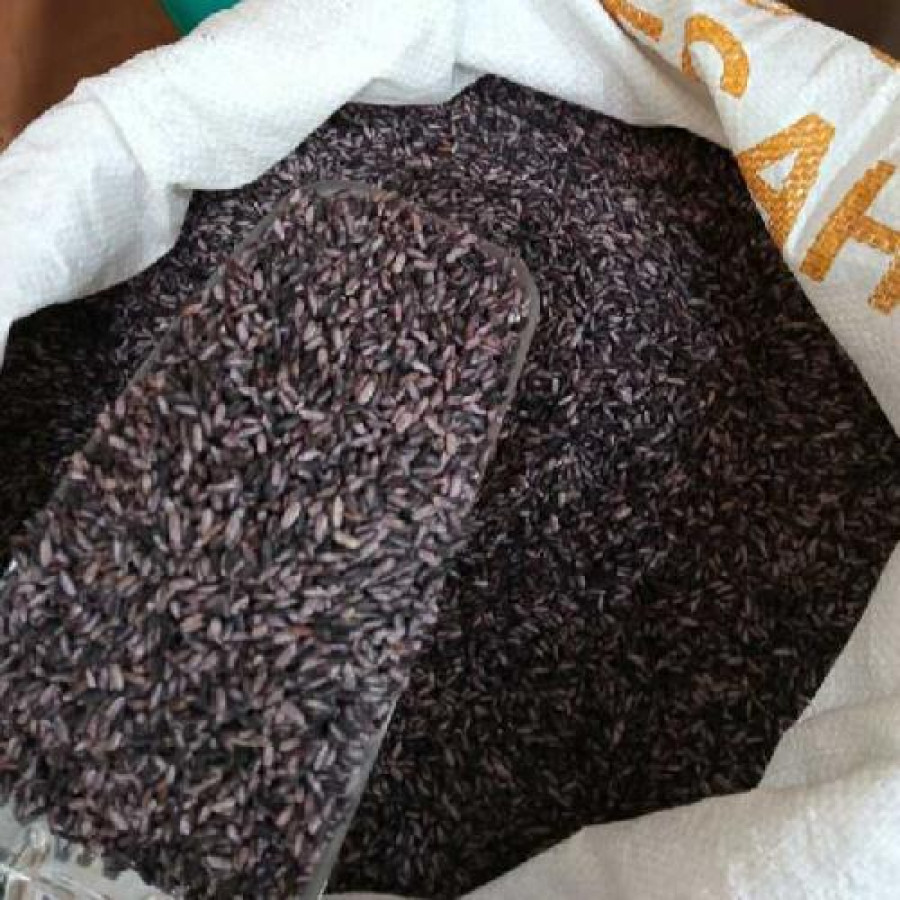 Beras Ketan Hitam 5 Kg