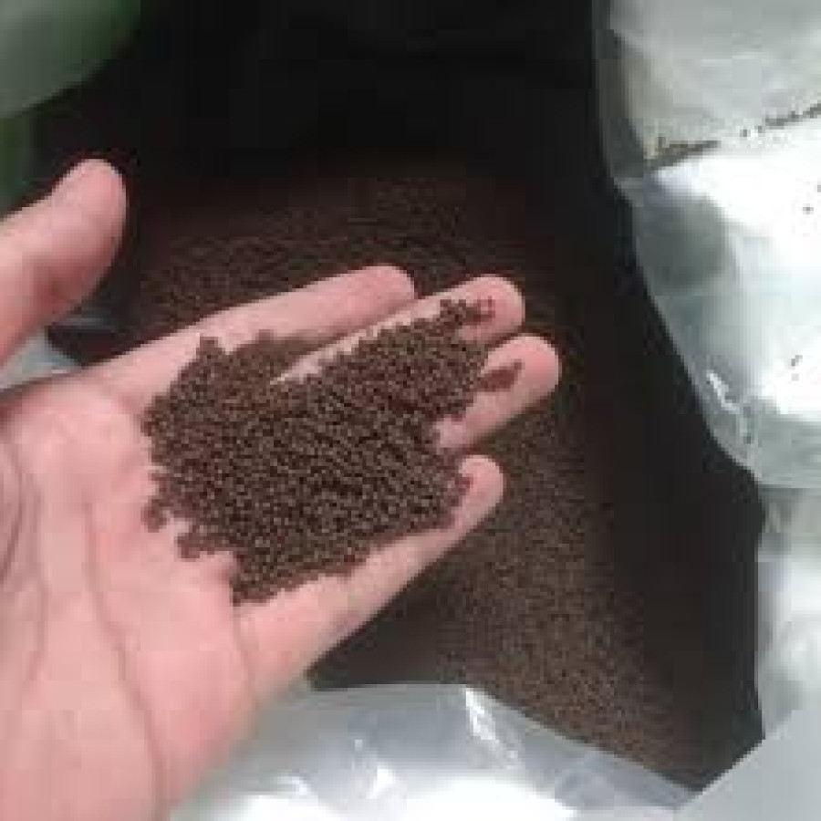 Pakan Ikan PF 1000 1 SAK (10Kg) PRIMA FEED - samping