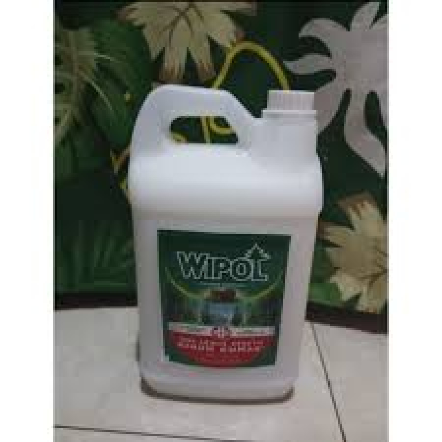 Wipol - Pembersih Lantai