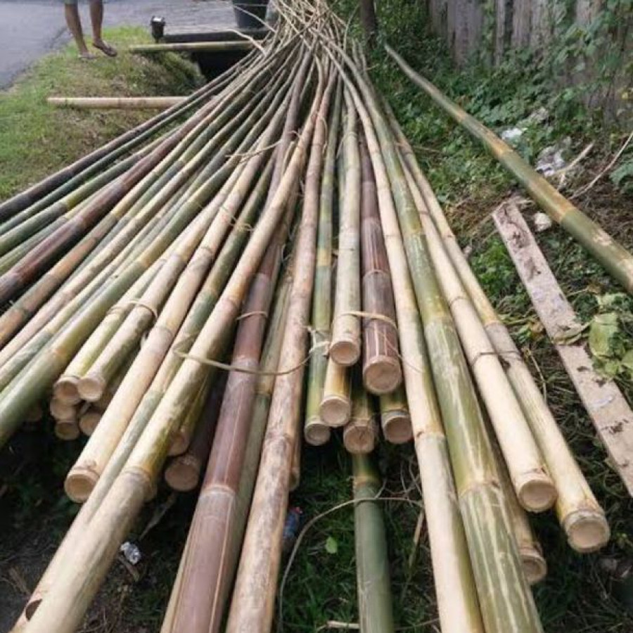 Bambu umbul umbul