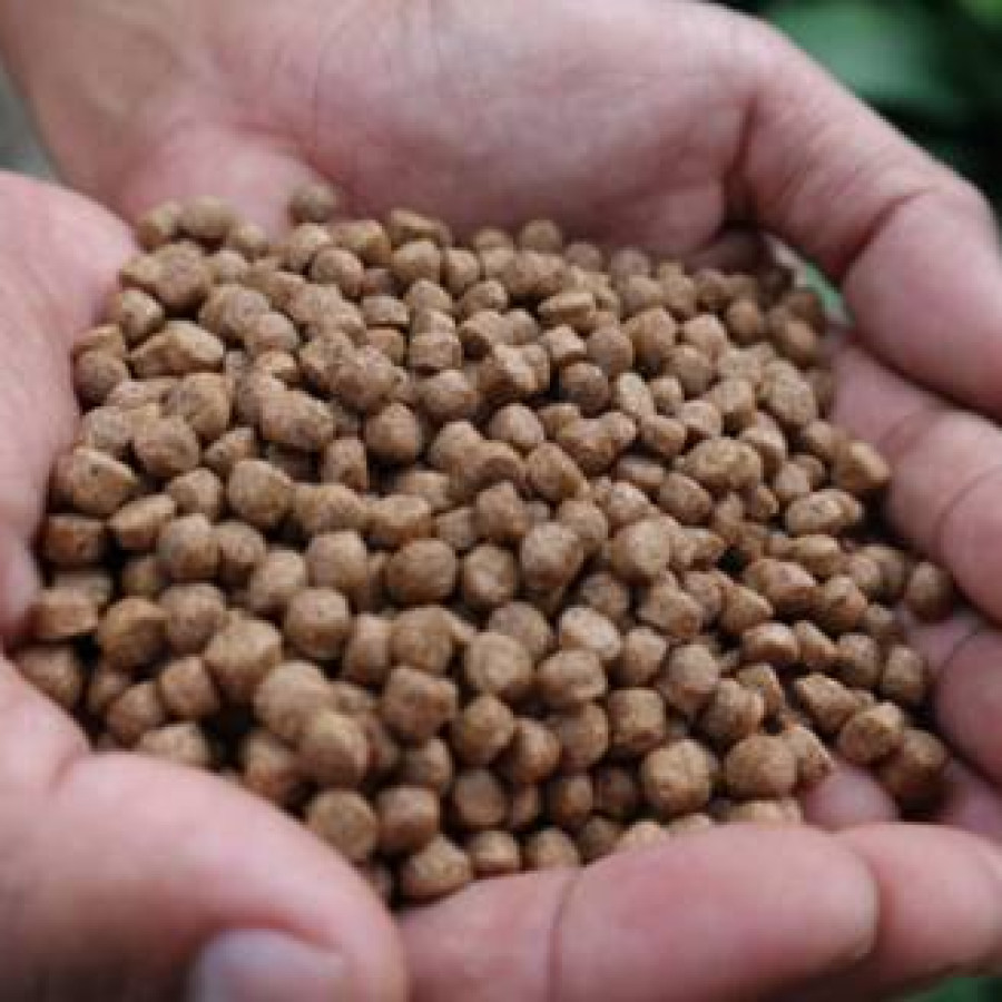 PAKAN IKAN LELE HI PRO VITE