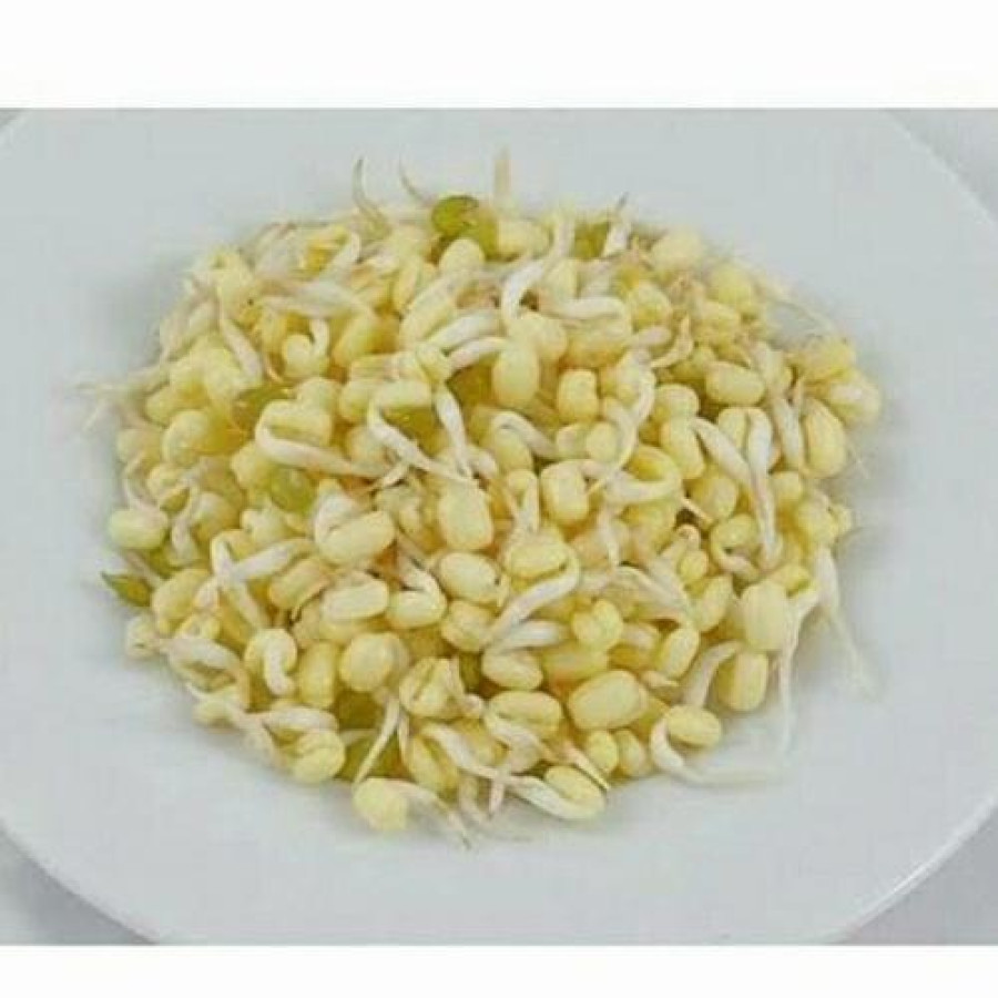TAUGE SOTO