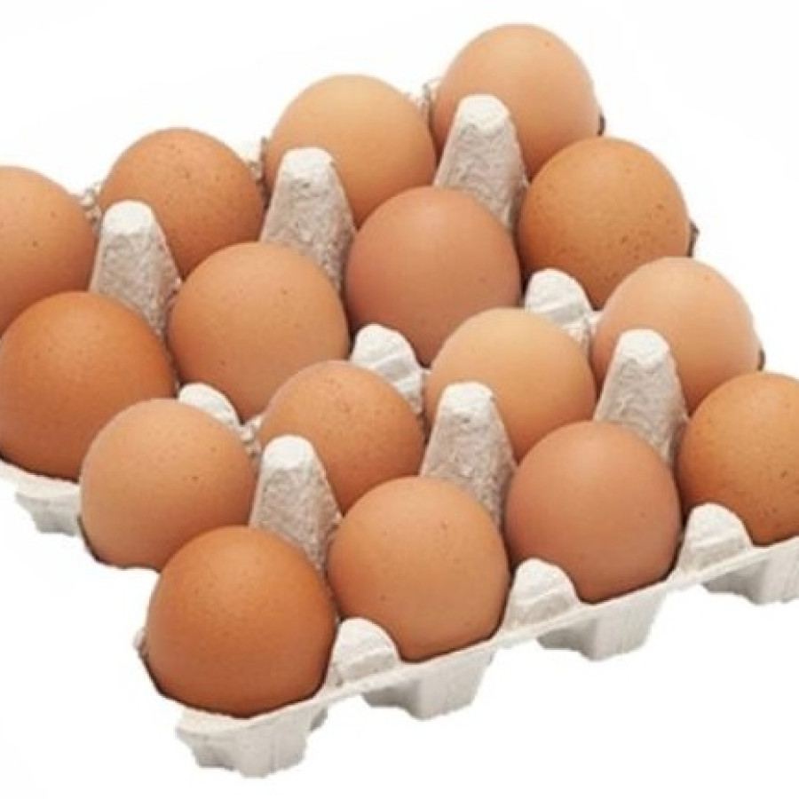 Telur ayam