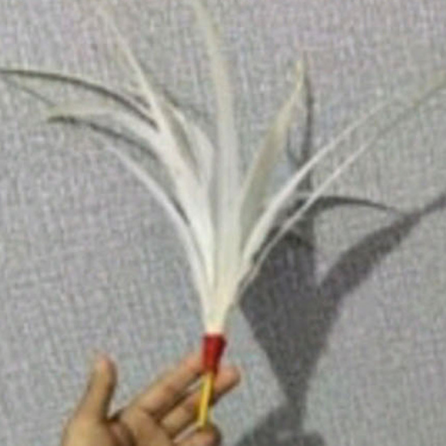 Accecoris Marching Band kelompok Bellira - utama