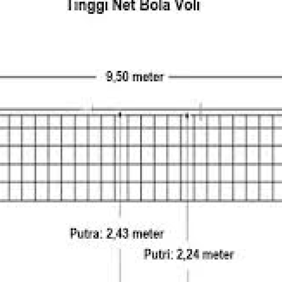 Net Volly Mikasa - depan