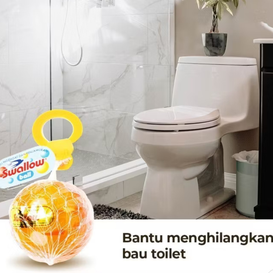 Kapur barus besar swallow