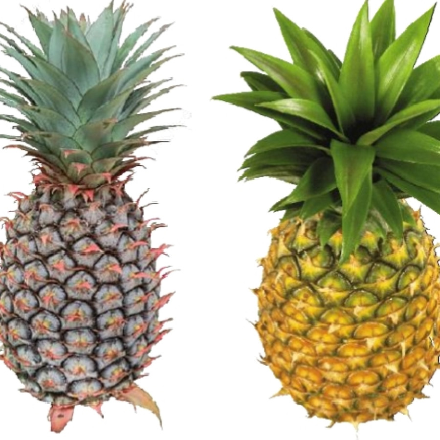 nanas buah