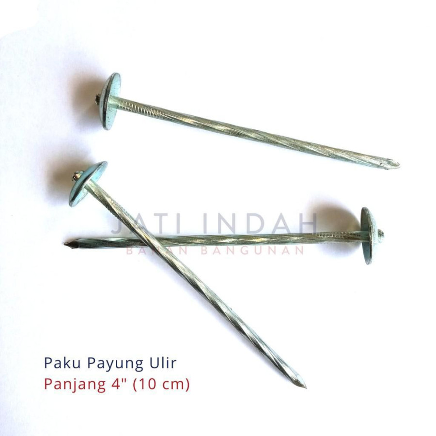 Paku Payung Ulir 10 cm jati indah
