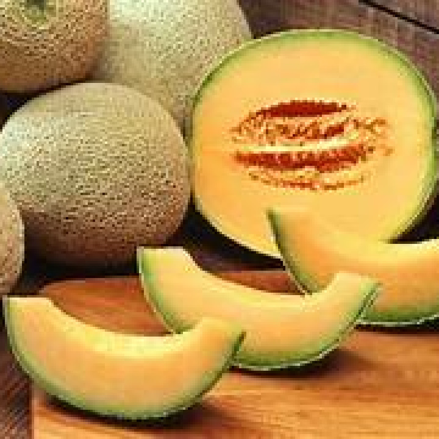 BUAH MELON SEGAR