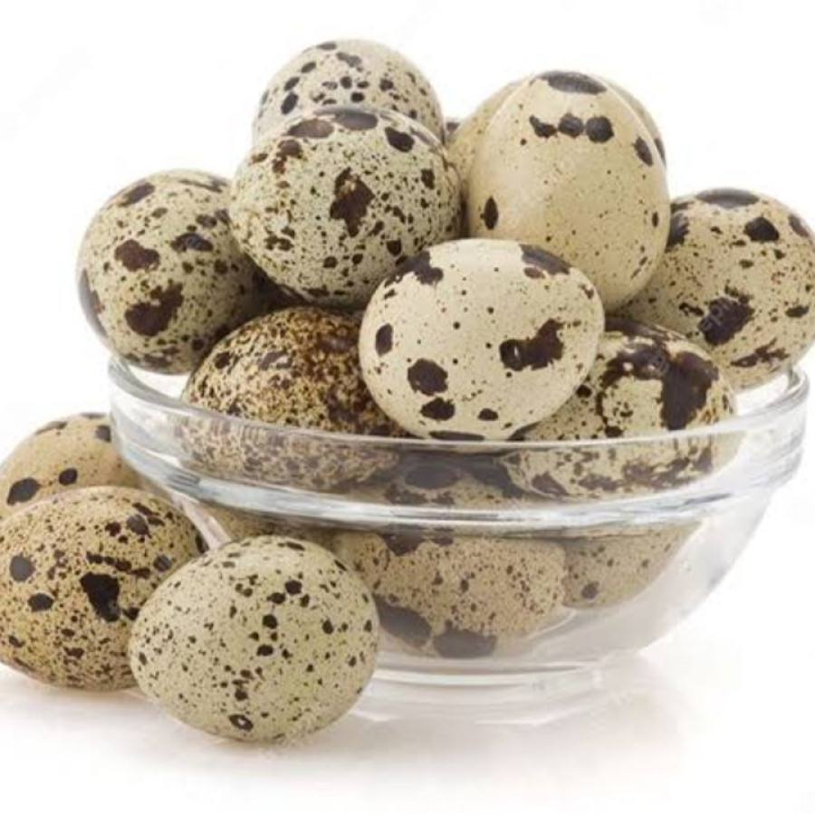 Telur Puyuh segar - depan