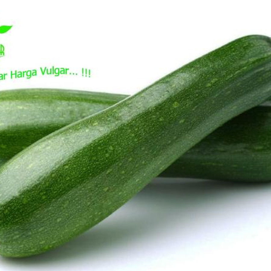 Zucchini kemasan 1000 gram - utama