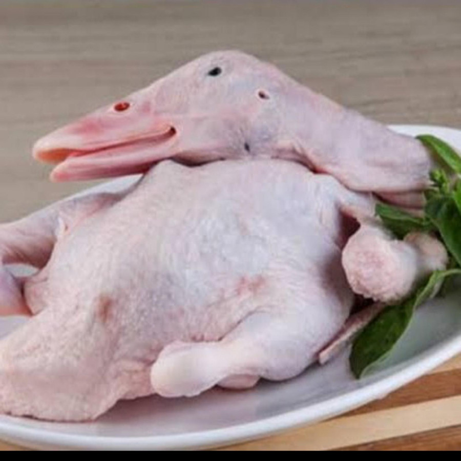 Bebek Muda Peking Karkas Utuh