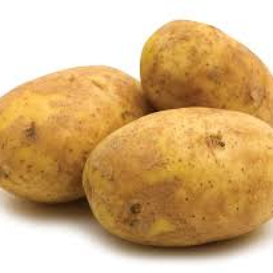kentang agria per kg