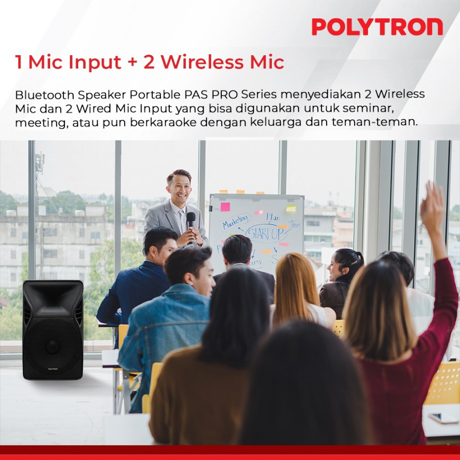 POLYTRON PAS PRO15F5 - Professional Portable Bluetooth Karaoke Speaker - detail