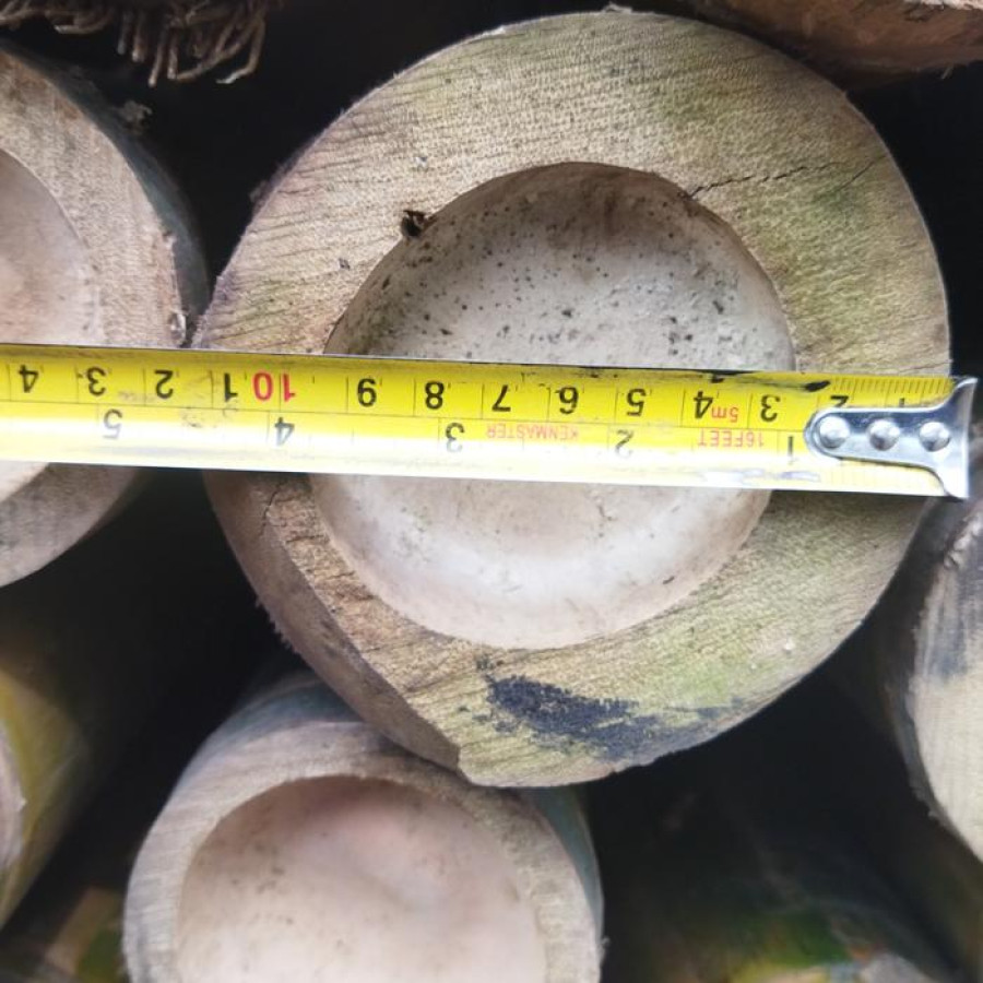 Bambu Panjang 4m - depan