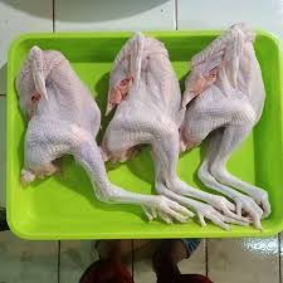Ayam Jantan