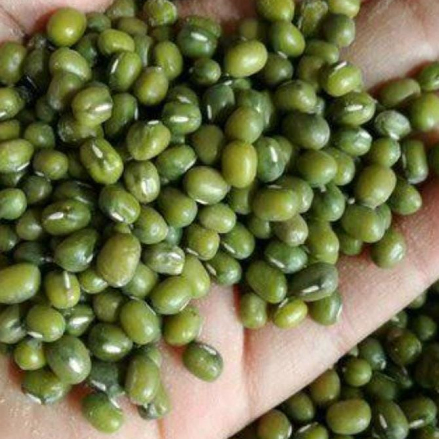 KACANG IJO 1Kg