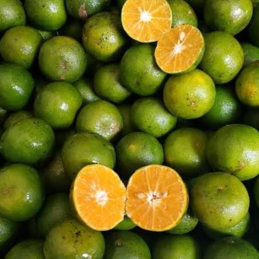 Jeruk Peras 6 Biji/Kg