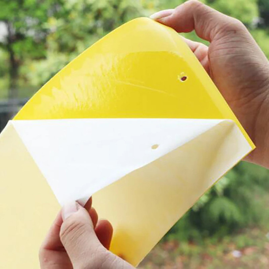Likat Kuning