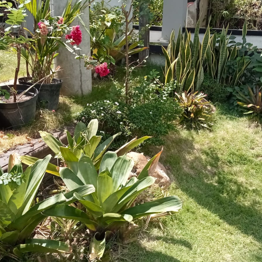 Pemeliharaan Taman Depan - depan